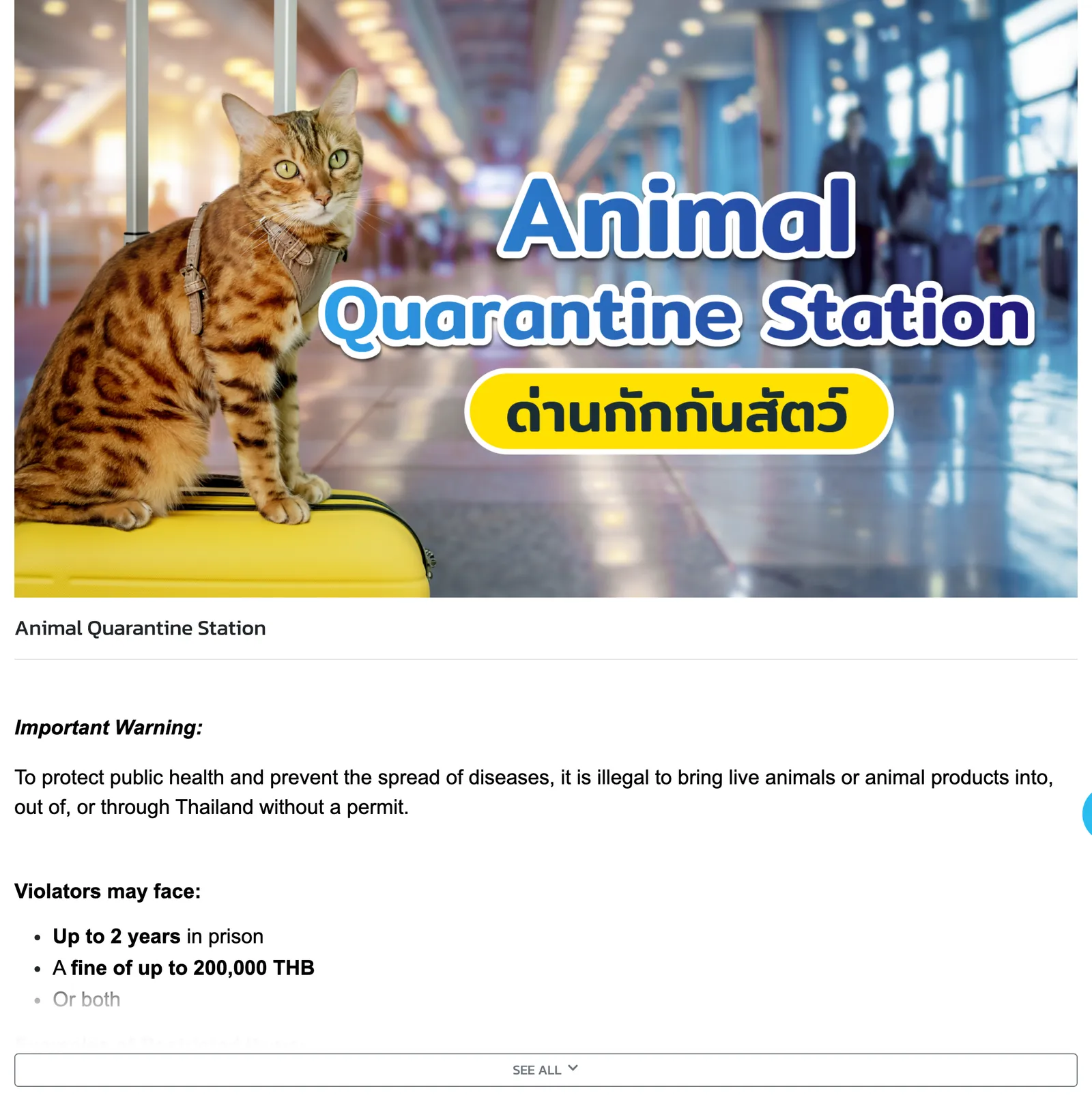 Chiang Mai airport operator page titled Animal Quarantine Station, with a cat sitting on a yellow suitcase above the warning about live animals without a permit.
