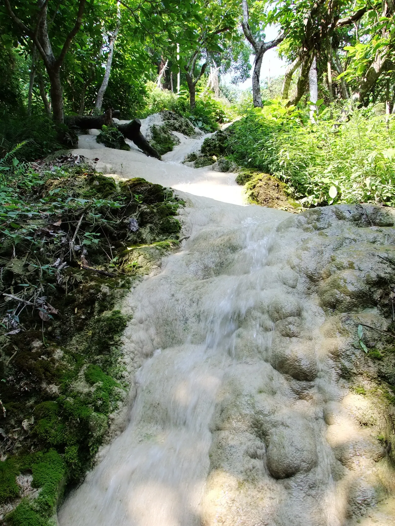 Stream splitting around green mossy rocks and pale limestone