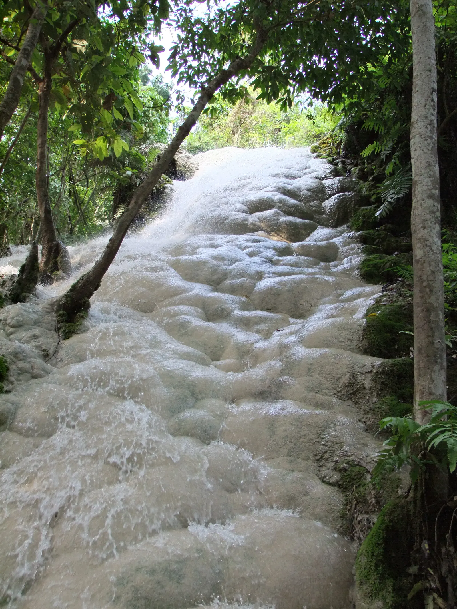 Rounded white limestone ledges with a thin sheet of water running over them between trees