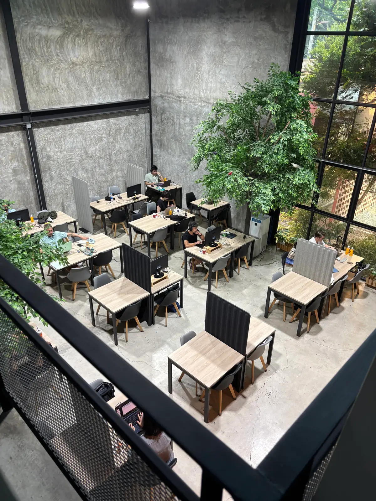 View from above of small wooden desks with people working among indoor trees.