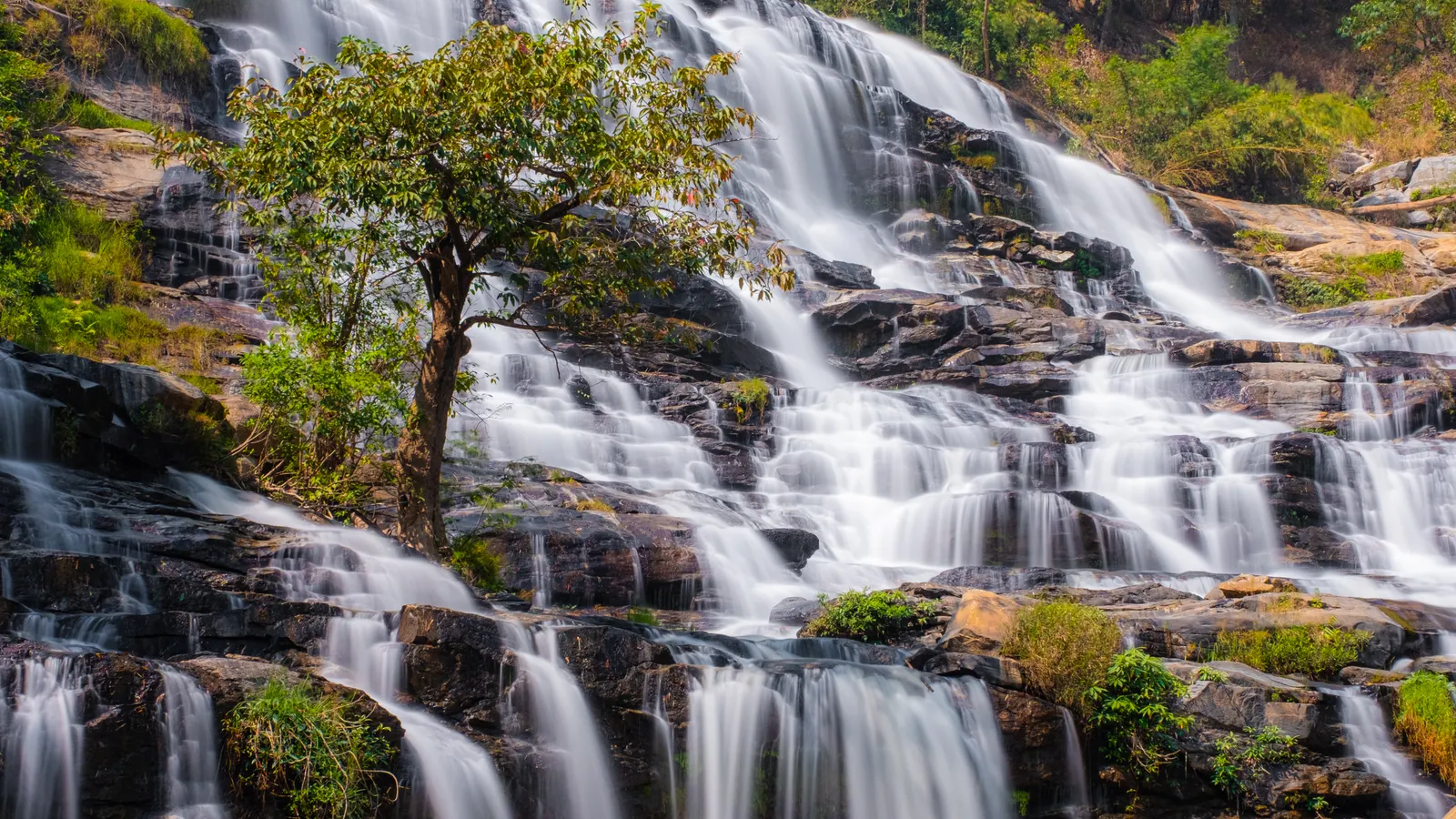 Wide tiered waterfall running over brown rock ledges with a small tree in front
