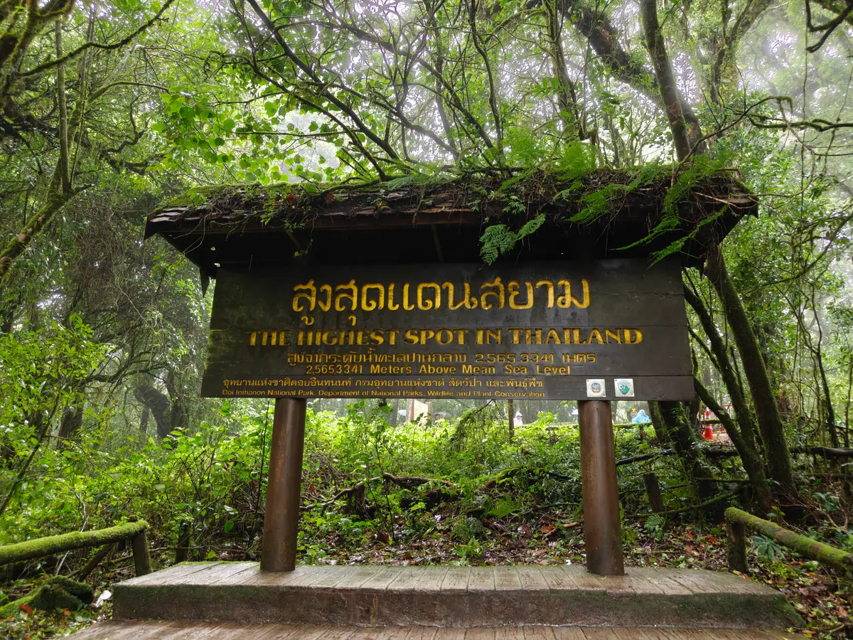 Wooden summit marker with gold lettering in Thai and English under moss and trees