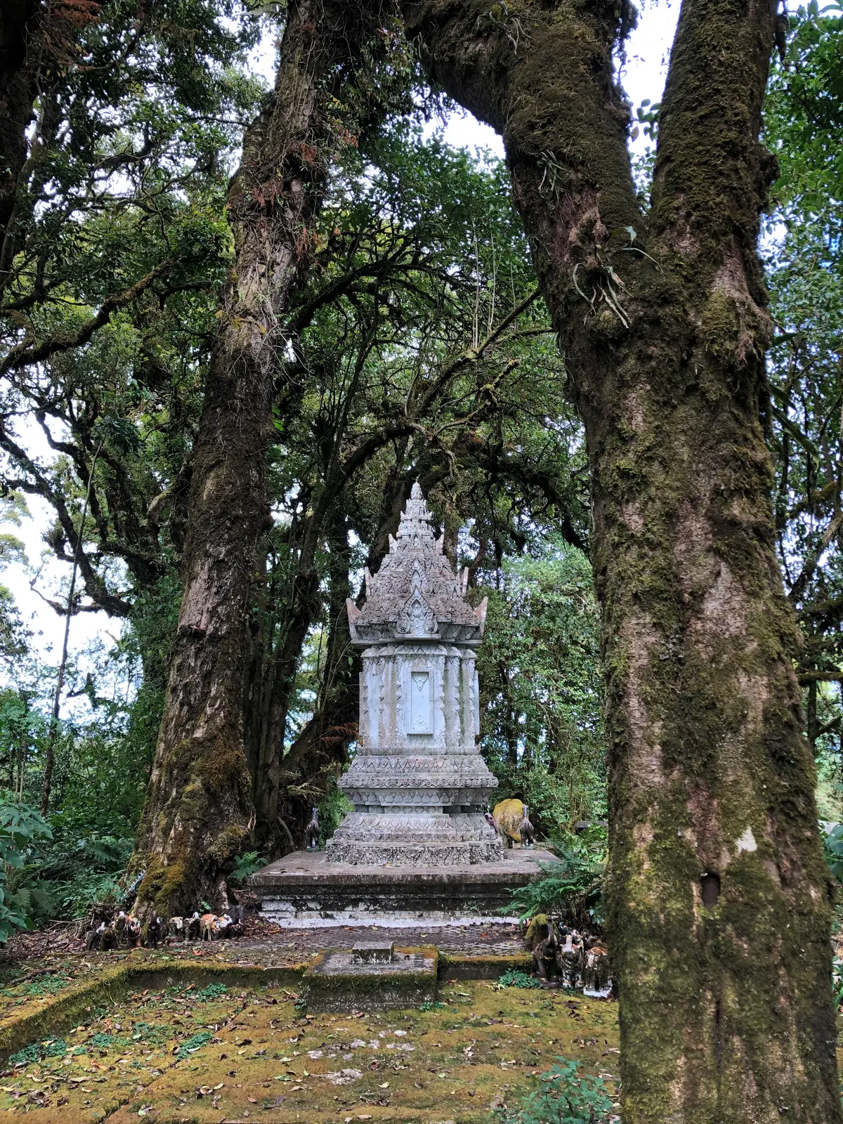 Small grey stupa between two large mossy tree trunks in the forest