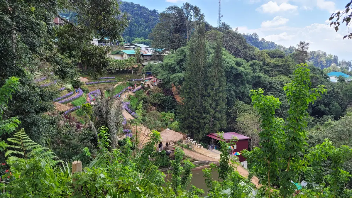 Village roofs and a narrow path seen through trees on a steep hillside