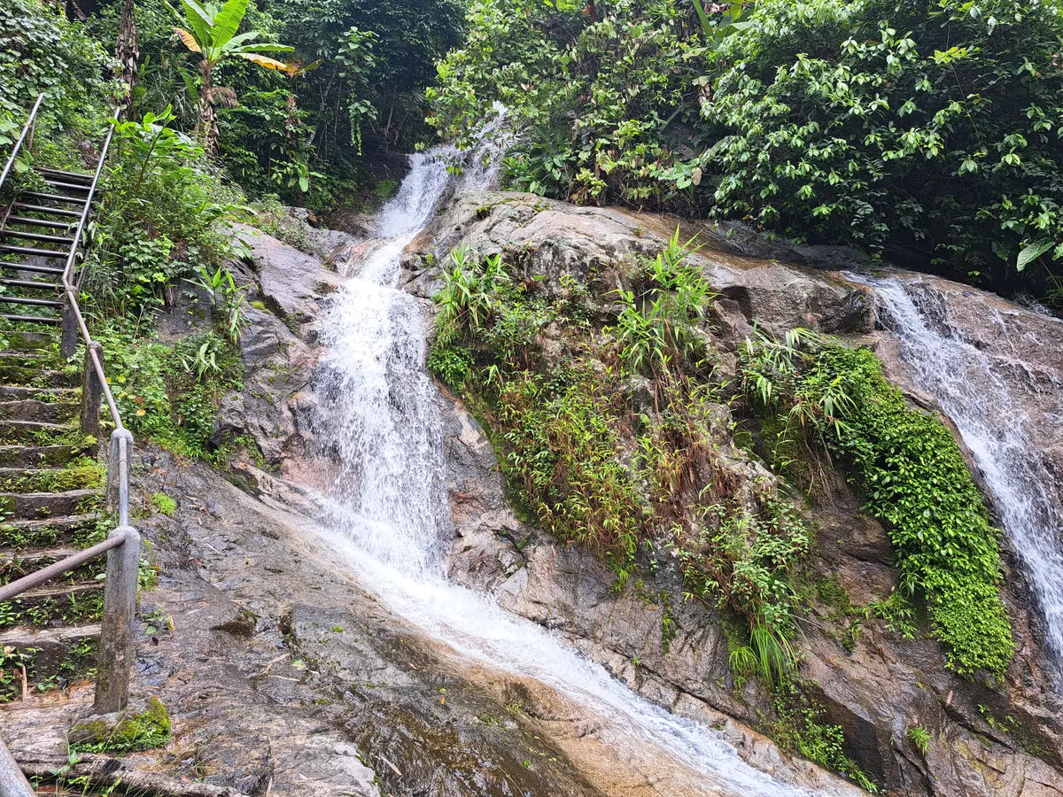 Water running down a rock face beside a wooden staircase and railing, with ferns and moss