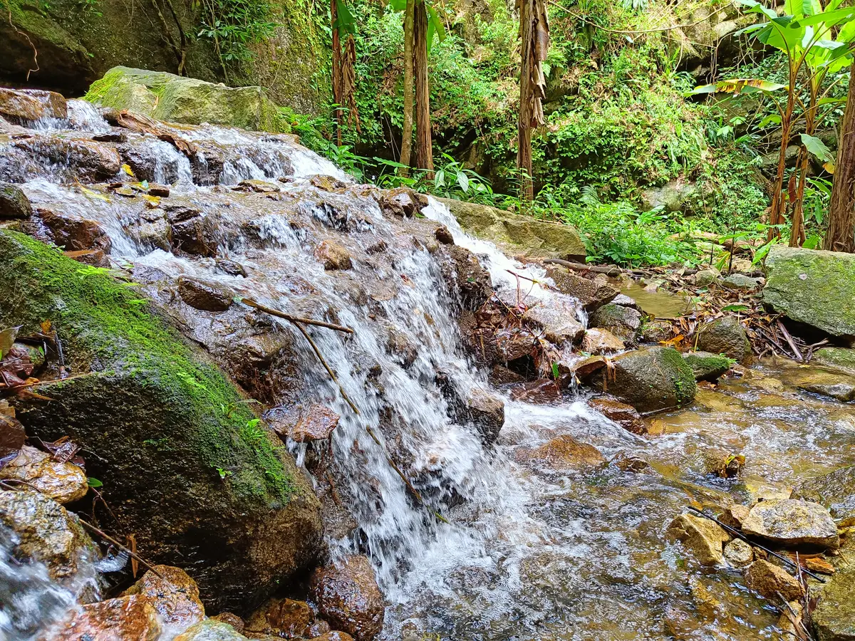 Small cascade over mossy rocks in a forest stream