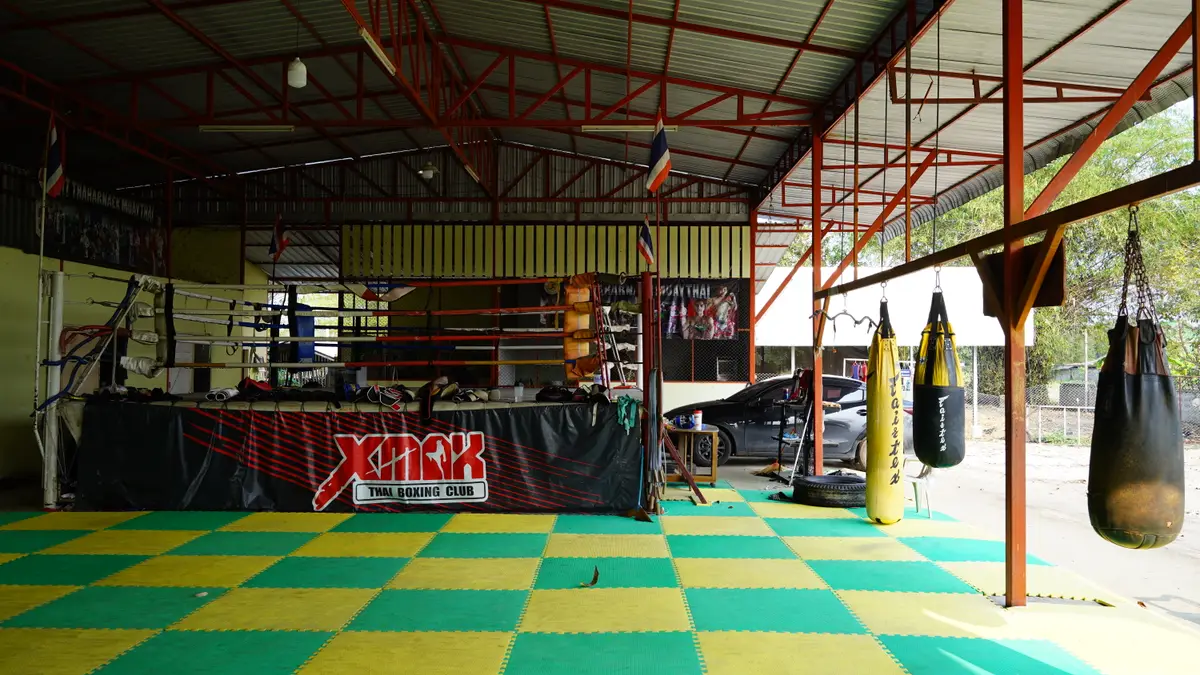 Open-sided shed with a ring, hanging bags and green and yellow floor mats.