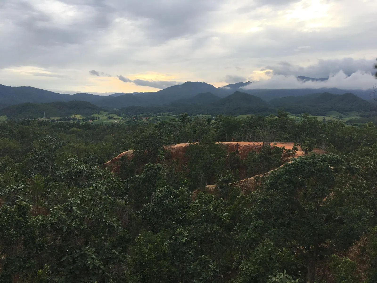 Forest valley with a patch of orange earth under cloudy sunset light