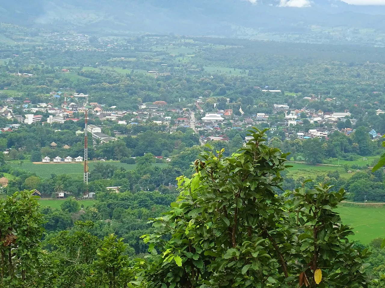 Pai town and green farmland seen from a hillside viewpoint