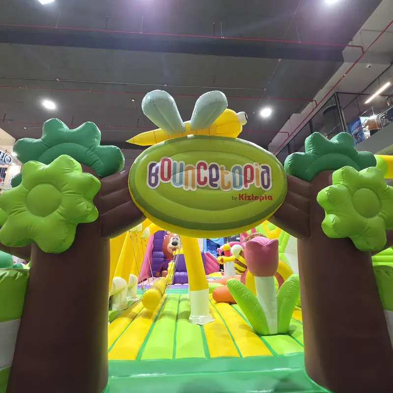 Bouncetopia, photo 2