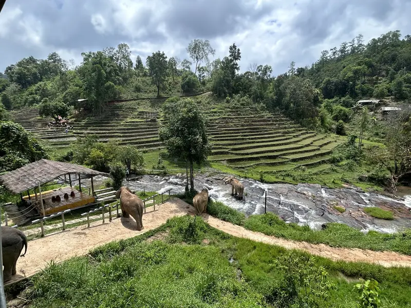 ChangChill Elephant Sanctuary, photo 3