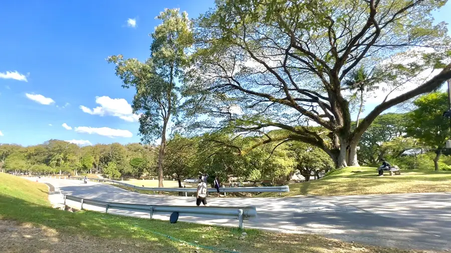 Chiang Mai University
