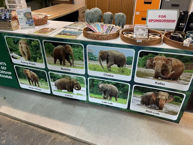 Elephant Nature Park, photo 3