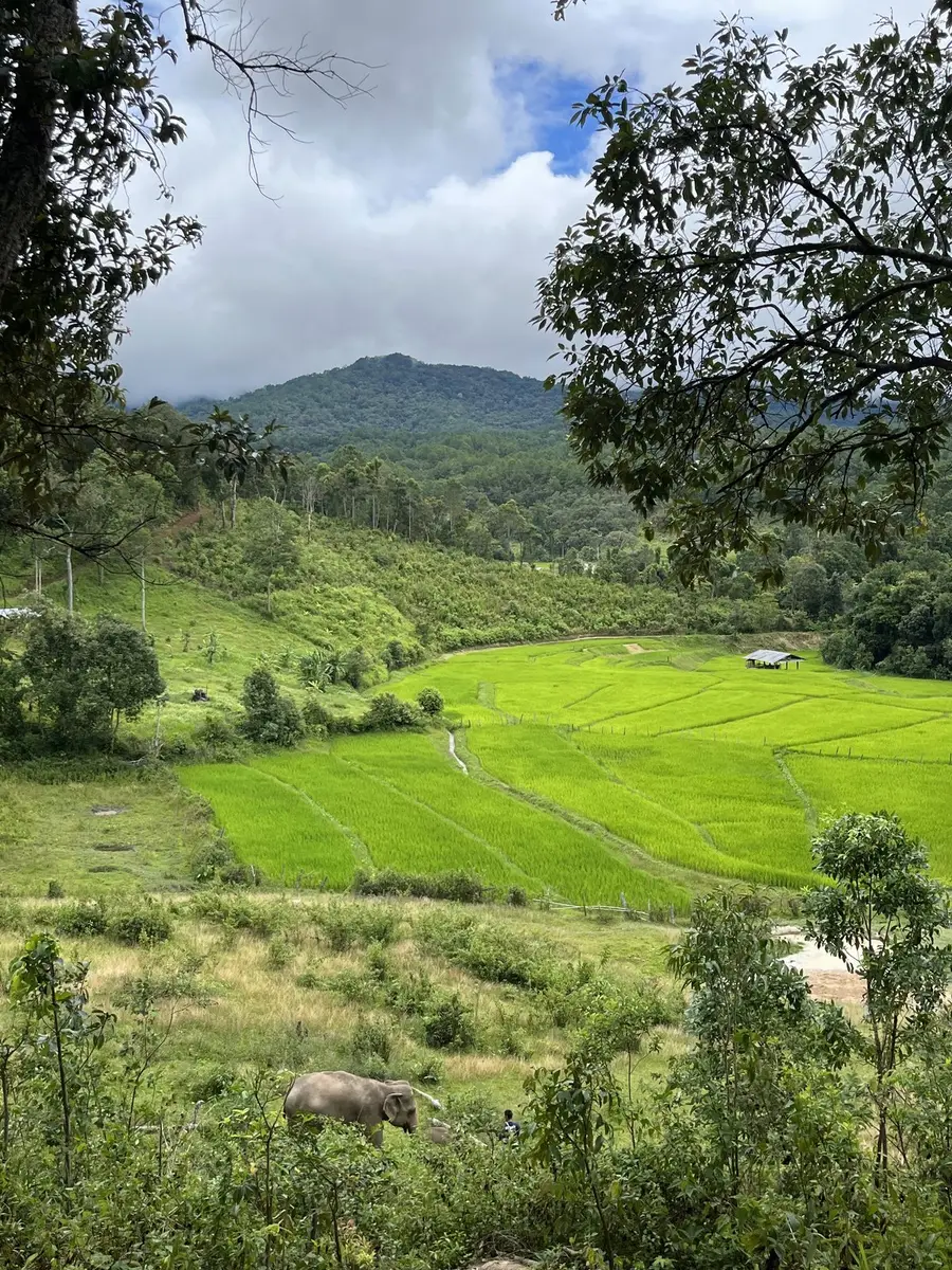 Elephant Pride Sanctuary