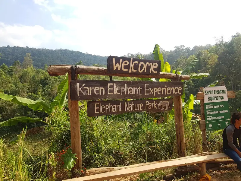 Karen Elephant Experience, photo 2