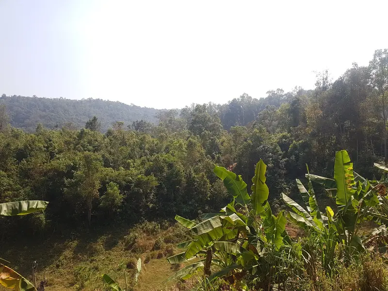 Karen Elephant Experience, photo 3