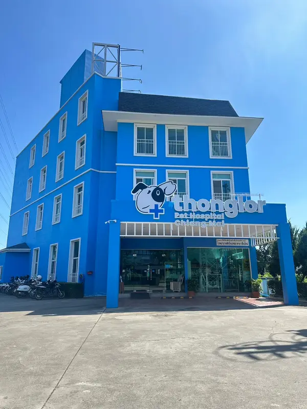 Thonglor Pet Hospital Chiang Mai (Ruamchoke), photo 2