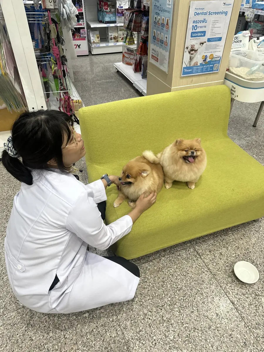 Thonglor Pet Hospital Chiang Mai (Ruamchoke)