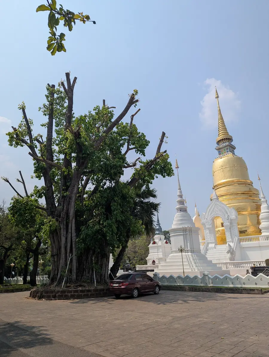 Wat Suan Dok