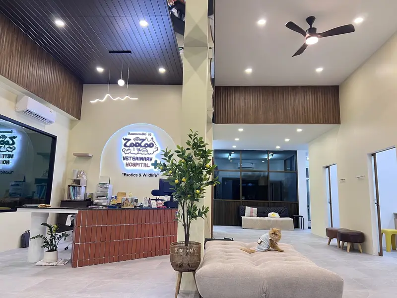 Zoo Zoo Animal Hospital, photo 3
