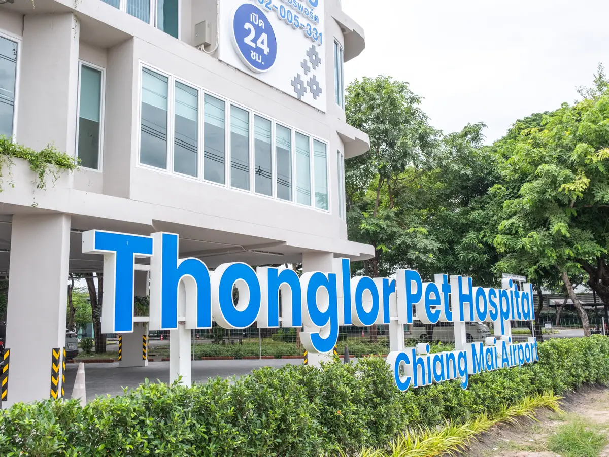 Large blue Thonglor Pet Hospital sign in front of a white hospital building with trees behind