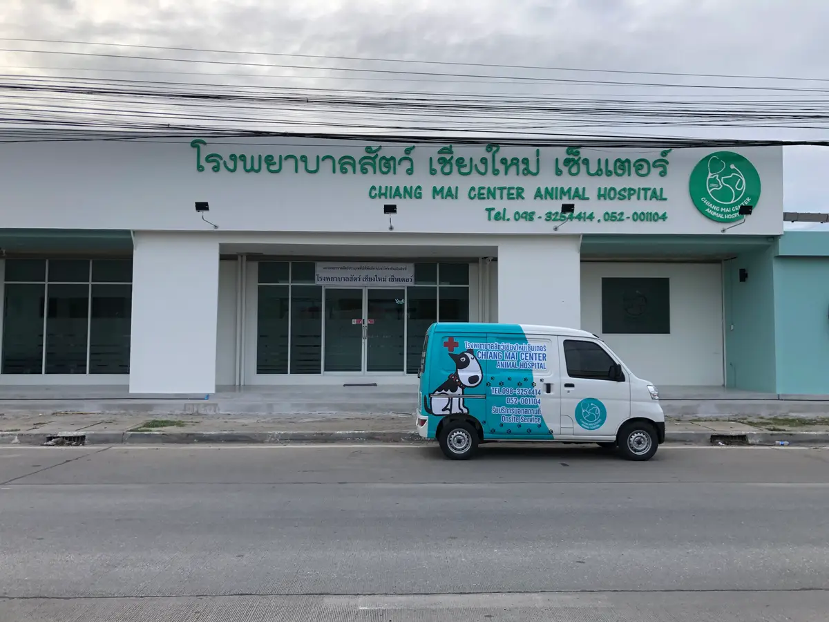 White and green building with a Thai and English sign and a small van parked in front